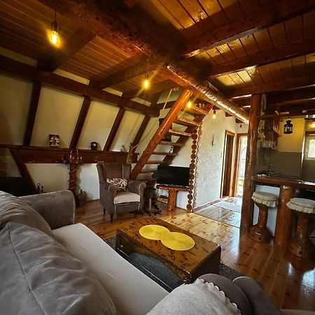 Vila Sarigora Žabljak Dış mekan fotoğraf
