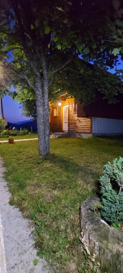 Vila Sarigora Žabljak Dış mekan fotoğraf